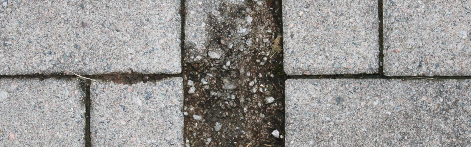 Brick Paver Restoration Elgin IL